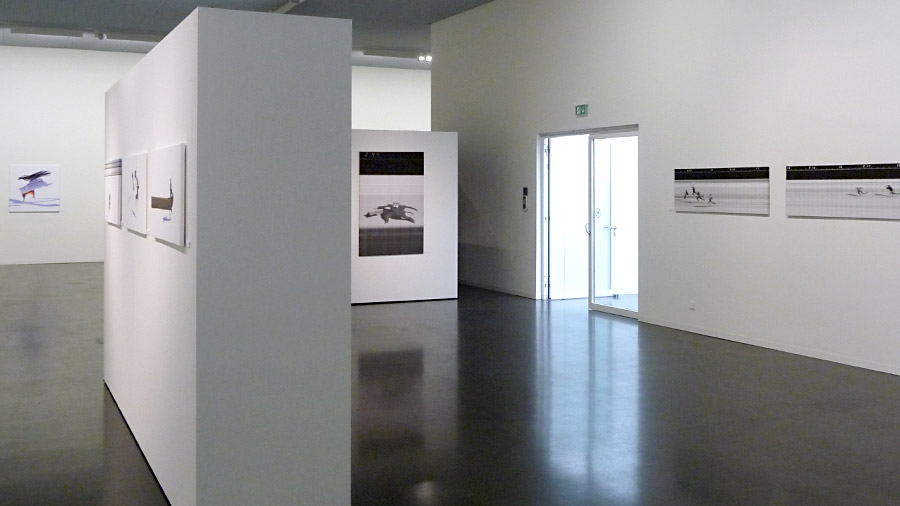 ausstellung @ sperl
